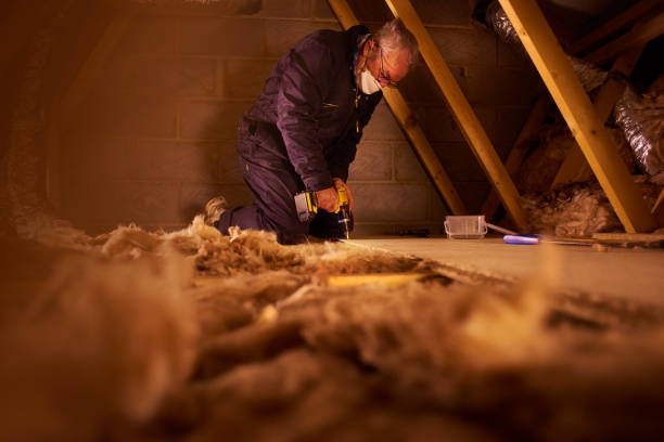 Best Attic Insulation Installation  in USA